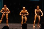 11-WFFNats-WFF0164.JPG