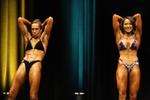 11-WFFNats-WFF0264.JPG