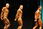 11-WFFNats-NABBA0047.JPG