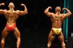 11-WFFNats-NABBA0196.JPG