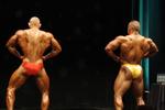 11-WFFNats-NABBA0198.JPG