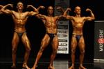 11-NABBA-NthHbr0212.JPG