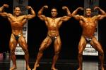 11-NABBA-NthHbr0275.JPG