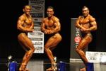 11-NABBA-NthHbr0305.JPG
