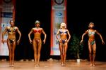 IMG_3531 - nov fig tall.jpg