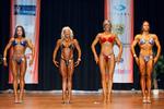 IMG_4106 - fig oall.jpg