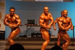 11-NZIFBB-NatsNite0301.JPG