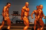 11-NZIFBB-NatsNite0304.JPG
