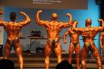 11-NZIFBB-NatsNite0306.JPG