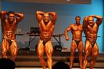 11-NZIFBB-NatsNite0309.JPG