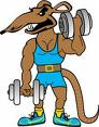 08-gymrat