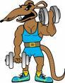 08-gymrat