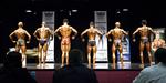 INBA28.jpg