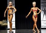 INBA53.jpg