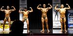 INBA62.jpg