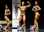 INBA87.jpg