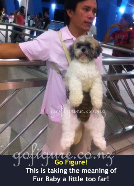 12-Manilla-dog2 copy.jpg