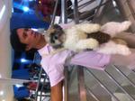 12-Manilla-dog2.jpg