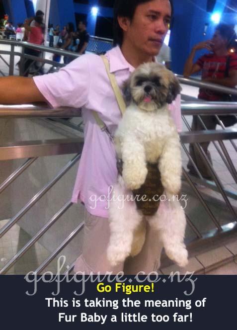 12-Manilla-dog2 copy.jpg