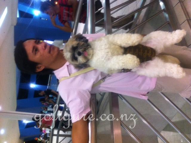 12-Manilla-dog2.jpg