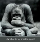 00-monkey.png