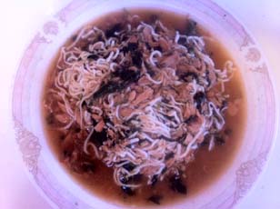 00-SlimPasta-spaghetti