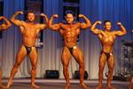12-NZIFBB-Akl0115.JPG