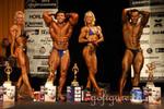 12-WFF-oall copy