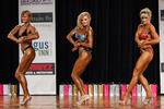 IMG_7334 - snr fig 50+.jpg
