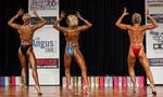 IMG_7340 - snr fig 50+.jpg