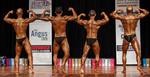 IMG_7382 - open athletic short & tall.jpg
