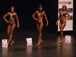 12-NbaSthIs-Novice Fig Tall awards.JPG