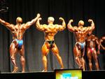08-OlympiaMenline3