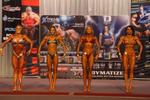 12-nzifbb-natsPre0456.JPG