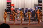 12-nzifbb-natsPre0542.JPG