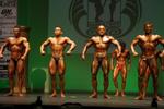 17012-WFFNats.JPG