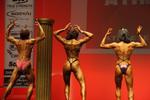41412-WFFNats.JPG