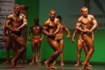 63712-WFFNats.JPG