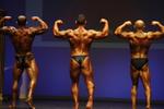 66012-WFFNats.JPG