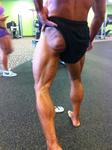 12-ChrsNelglute.jpg