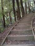 Hunua.JPG
