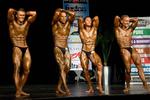 08-NzfNatsM-ClassicAbs