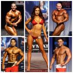 13-NZIFBB-ArnoldsTeam