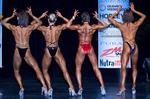 08-NzfNatsG-OallFigbk