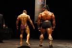 88513-NZIFBBMarch-Pro.JPG