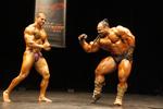 89013-NZIFBBMarch-Pro.JPG