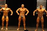 13813-NZIFBBMarch-Pro.JPG