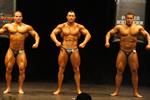 13913-NZIFBBMarch-Pro.JPG
