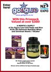 GoFigure-A1FaceprizeposterExpologo copy