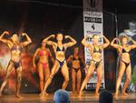 08-NthHbr-Gsenphystage